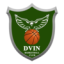 DVIN logo