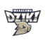 DZIKI WARSZAWA logo