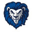 EGRI VSI KOK logo
