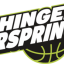 EHINGEN URSPRING logo