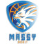 ENTENTE SPORTIVE MASSY logo