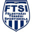 FELEGYHAZI TSI logo