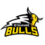 FRANKLIN BULLS logo