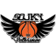 GBA SOJKY PELHRIMOV logo