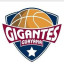 GIGANTES DE GUAYANA logo