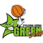 GREEN STAR ZIELONA GORA logo