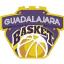 GUADALAJARA BASKET logo