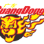 GUANGDONG DONGGUAN logo