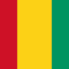 GUINEA logo