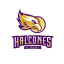 HALCONES UV XALAPA logo