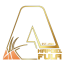 HAPOEL AFULA logo