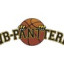 HELSINKI PANTTERIT logo
