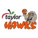 IMS PAYROLL HAWKS Logo