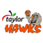 IMS PAYROLL HAWKS logo