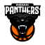 INDIAN PANTHERS logo