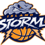 ISLAND STORM logo