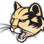 IU KOKOMO IND logo