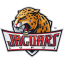 IUPUI logo