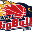 IWATE BIG BULLS logo
