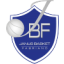 JANUS BASKET FABRIANO logo