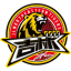 JILIN NORTHEAST TIGERS logo