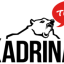 KADRINA KARUD logo