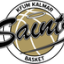 KALMAR SAINTS logo