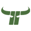KAPFENBERG BULLS logo