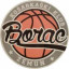 KK BORAC ZEMUN logo