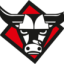 KK GORICA logo