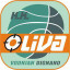 KK OLIVA logo