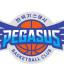 KOGAS PEGAUSS logo
