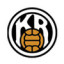 KR REYKJAVIK logo