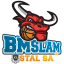 KS STAL OSTROW logo
