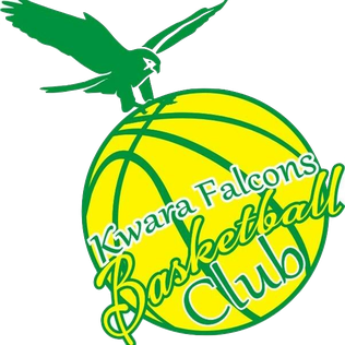 KWARA FALCONS Logo