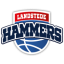 LANDSTEDE BASKETBALL logo