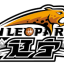 LIAONING logo