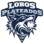LOBOS PLATEADOS logo