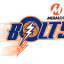 MERALCO BOLTS logo