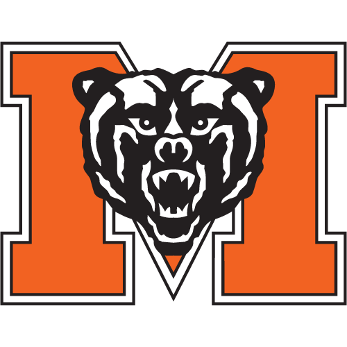 MERCER Logo