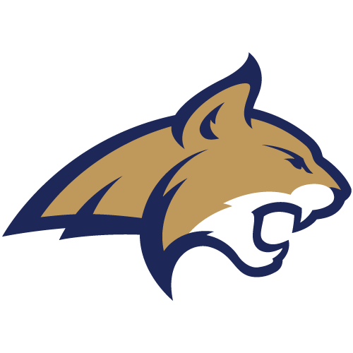 MONTANA STATE Logo
