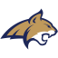 MONTANA STATE logo
