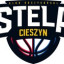 MOSIR STELA CIESZYN logo