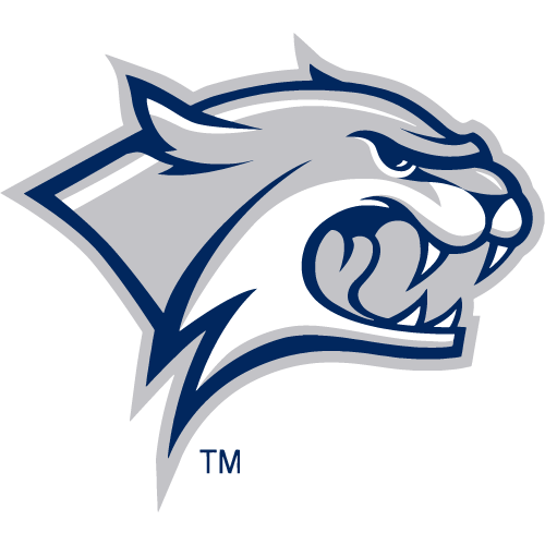 NEW HAMPSHIRE Logo