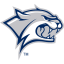 NEW HAMPSHIRE logo