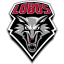 NEW MEXICO logo