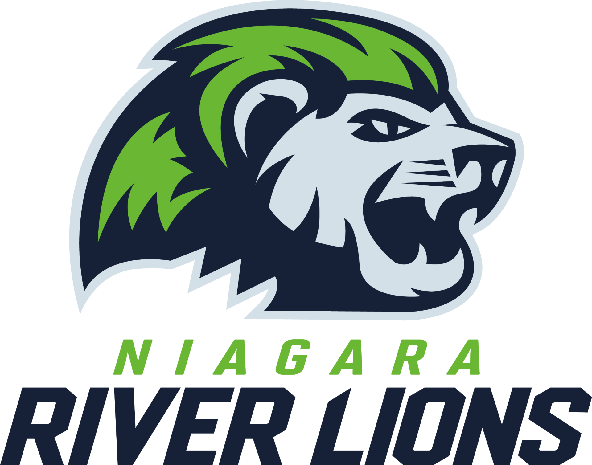 NIAGARA RIVER LIONS Logo