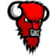 NILAN BISONS LOIMAA logo