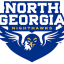 NORTH GEORGIA logo