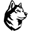 NORTHEASTERN logo